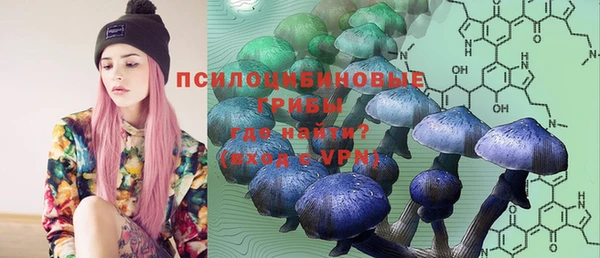прущая мука Абаза
