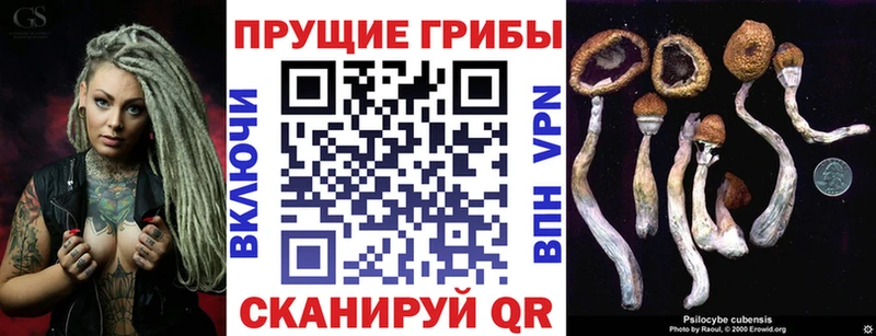 Псилоцибиновые грибы мицелий  Тарко-Сале 